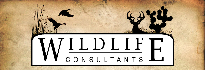 Wildlife Consultants